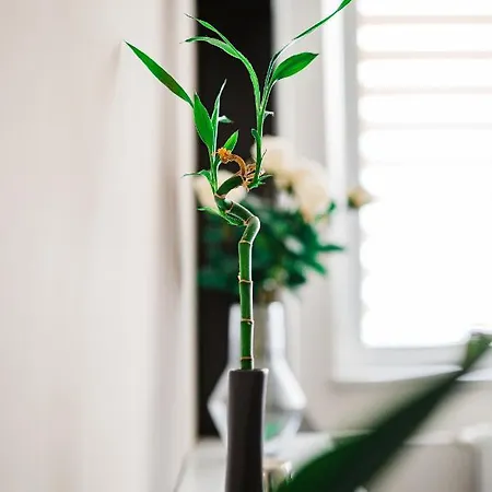 Apartmán Ah Povazska Košice