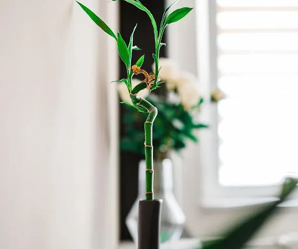 Appartamento Ah Považská Košice